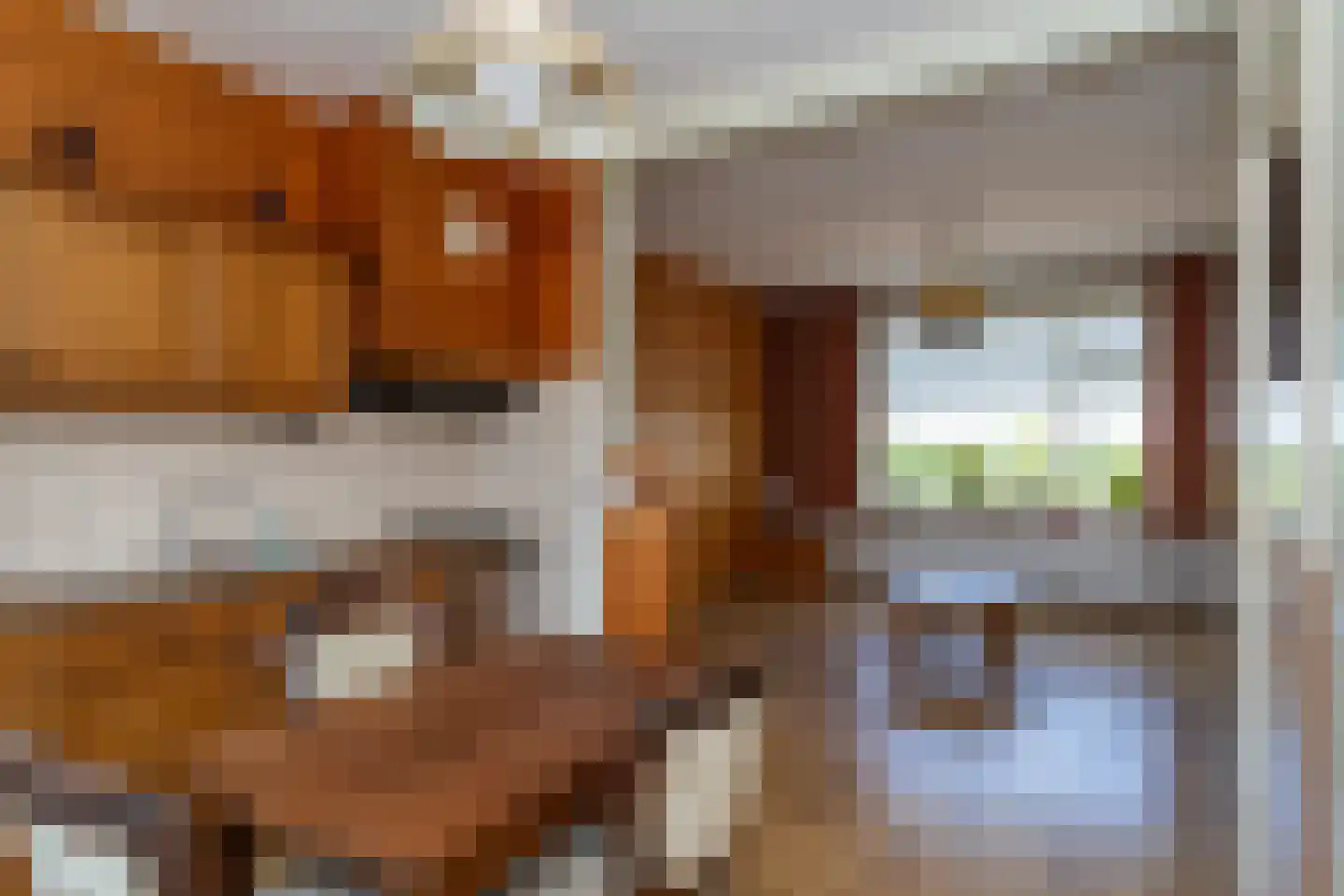 Berkenweg 85 Boskoop thumbnail 14