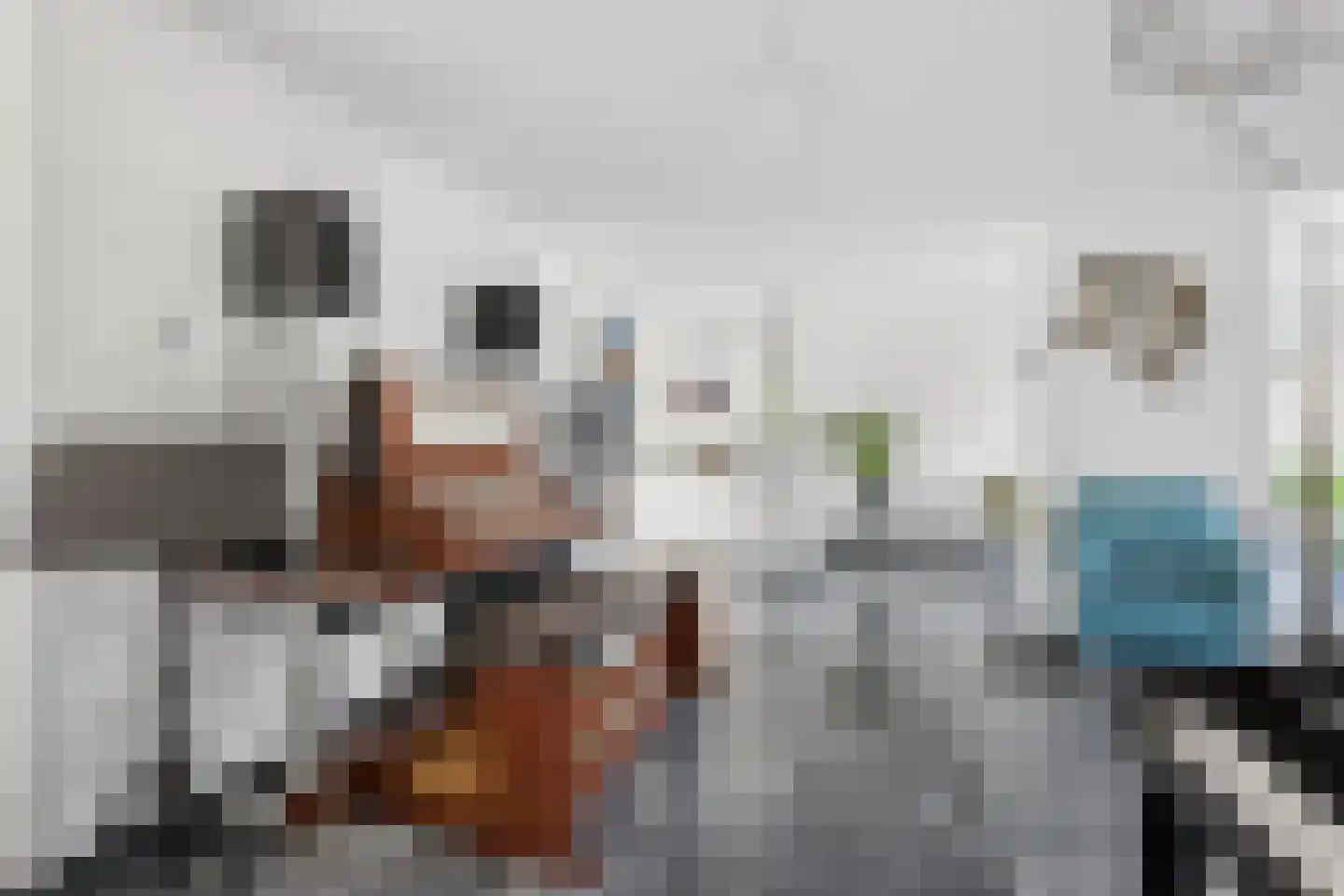 Berkenzwam 5 Veenendaal thumbnail 10