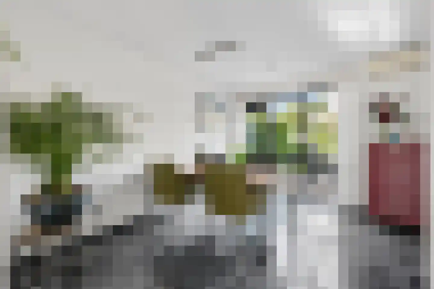 Berkenzwam 5 Veenendaal thumbnail 11