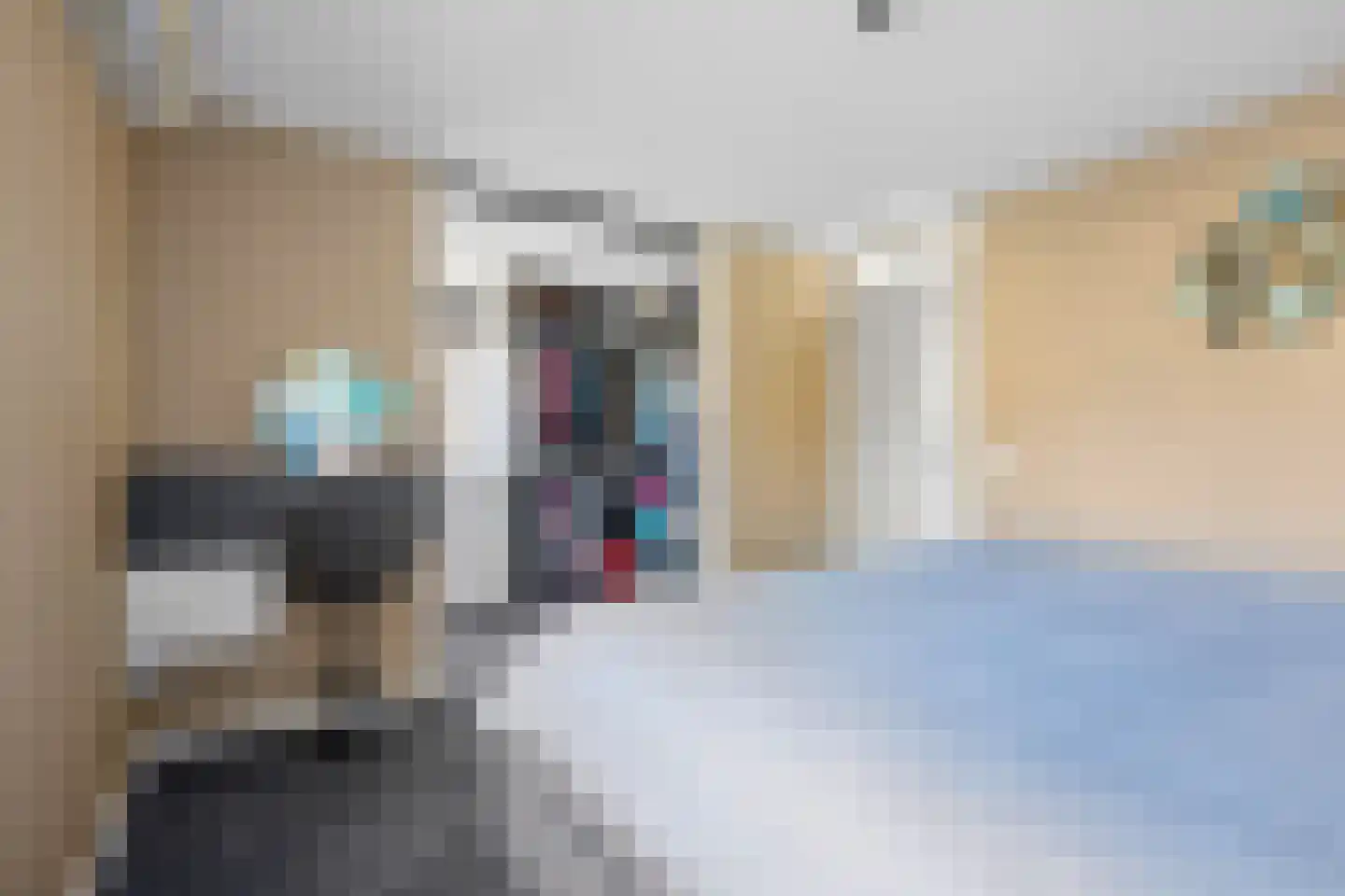 Berkenzwam 5 Veenendaal thumbnail 17