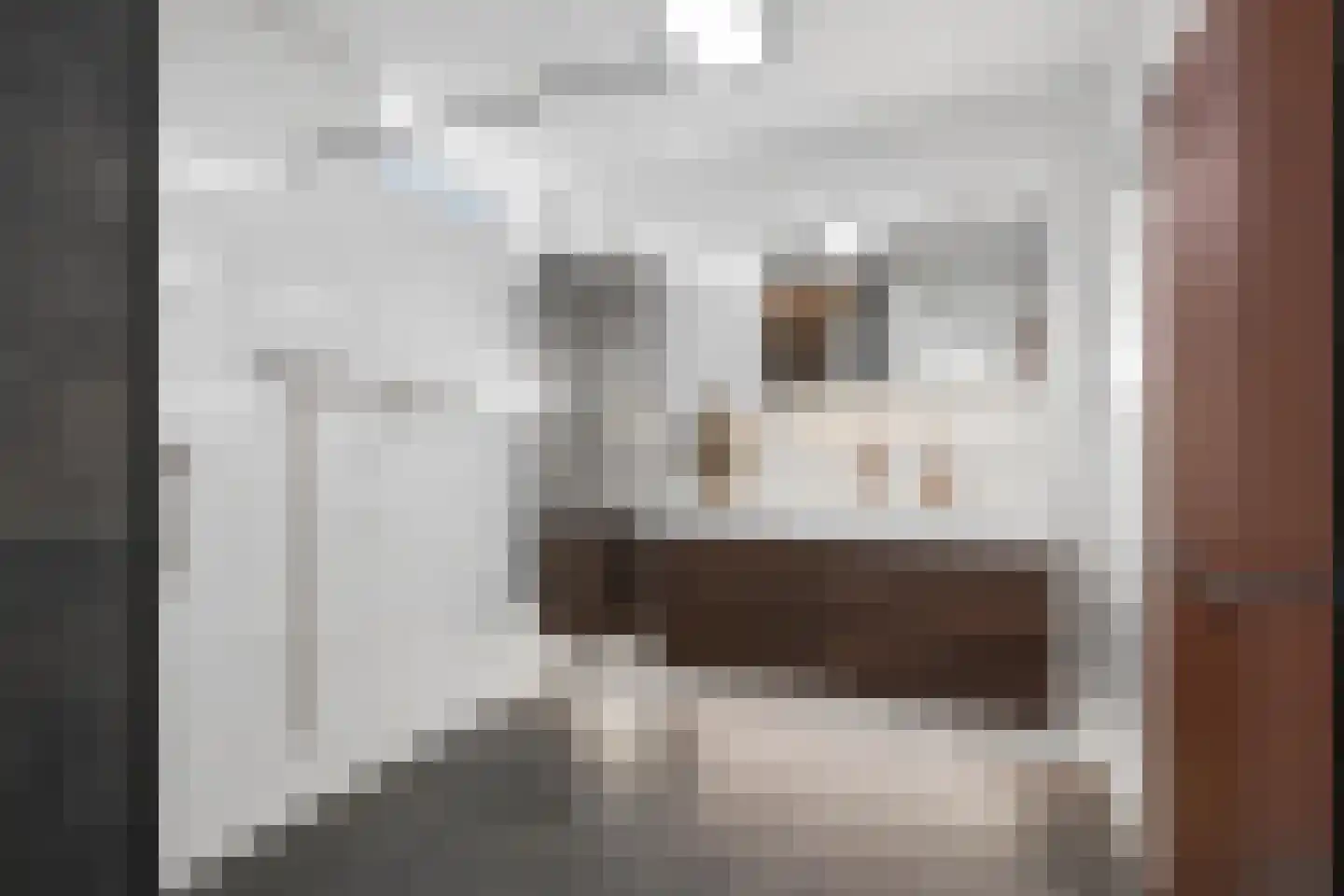Berkenzwam 5 Veenendaal thumbnail 19