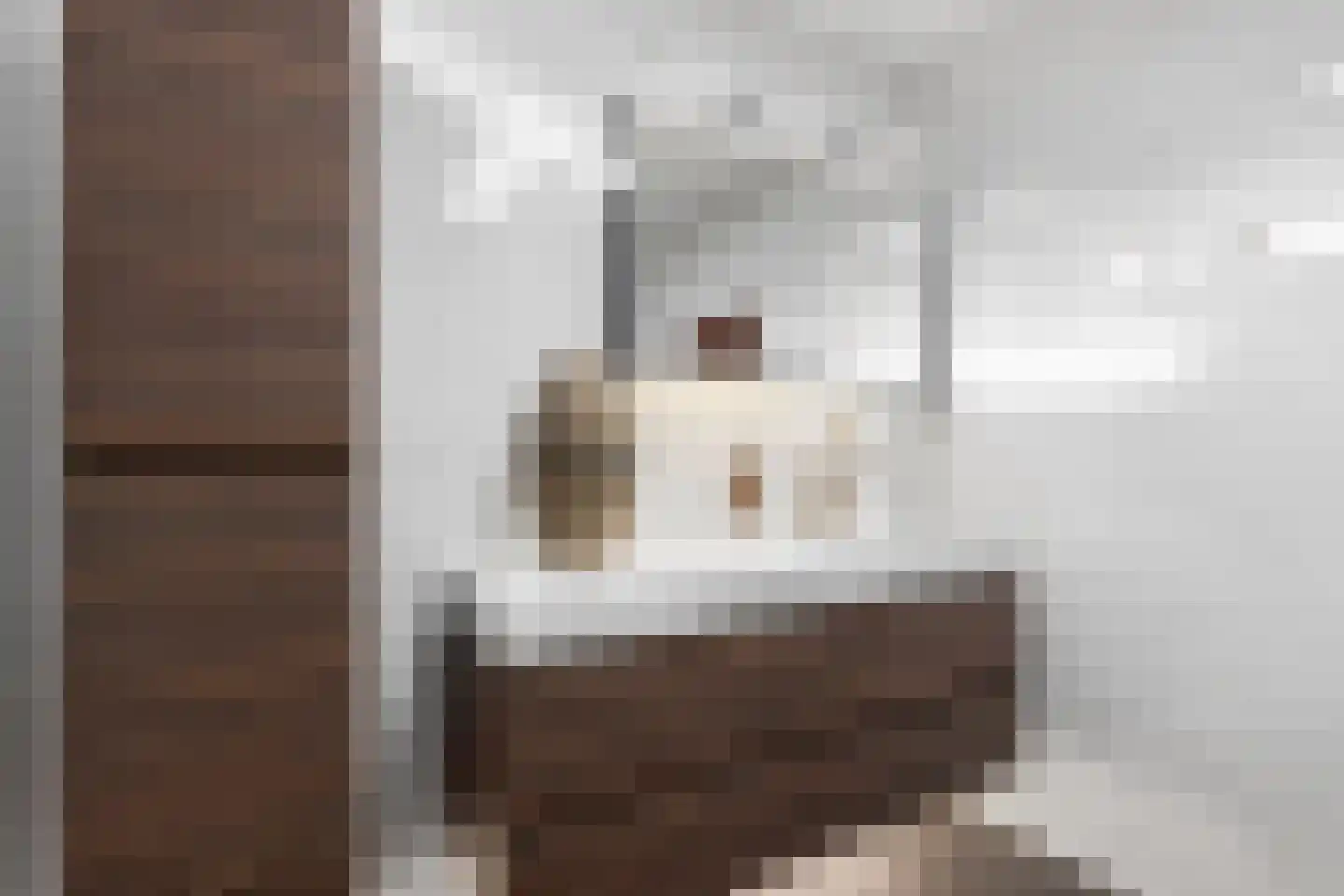 Berkenzwam 5 Veenendaal thumbnail 21