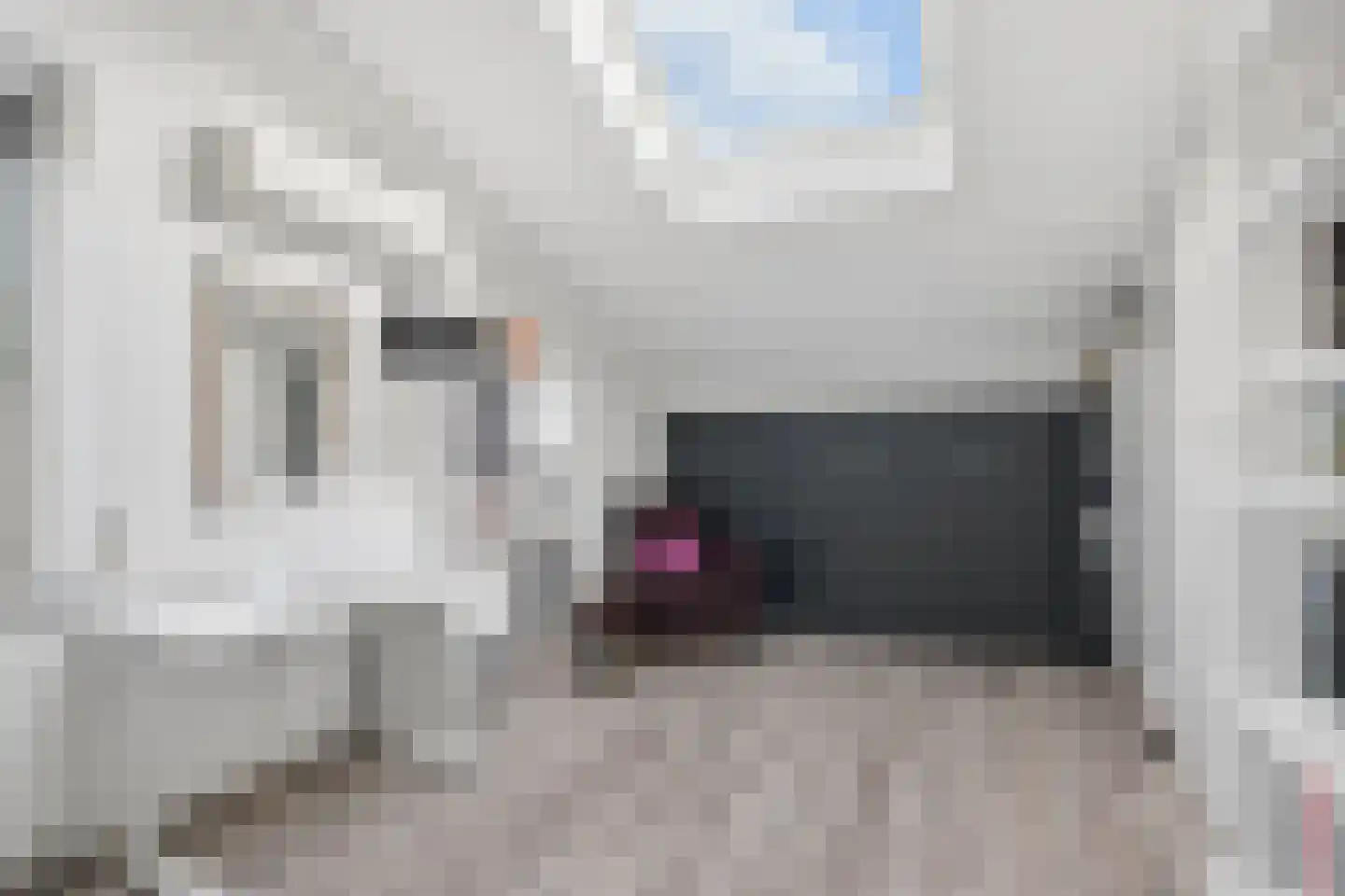 Berkenzwam 5 Veenendaal thumbnail 24
