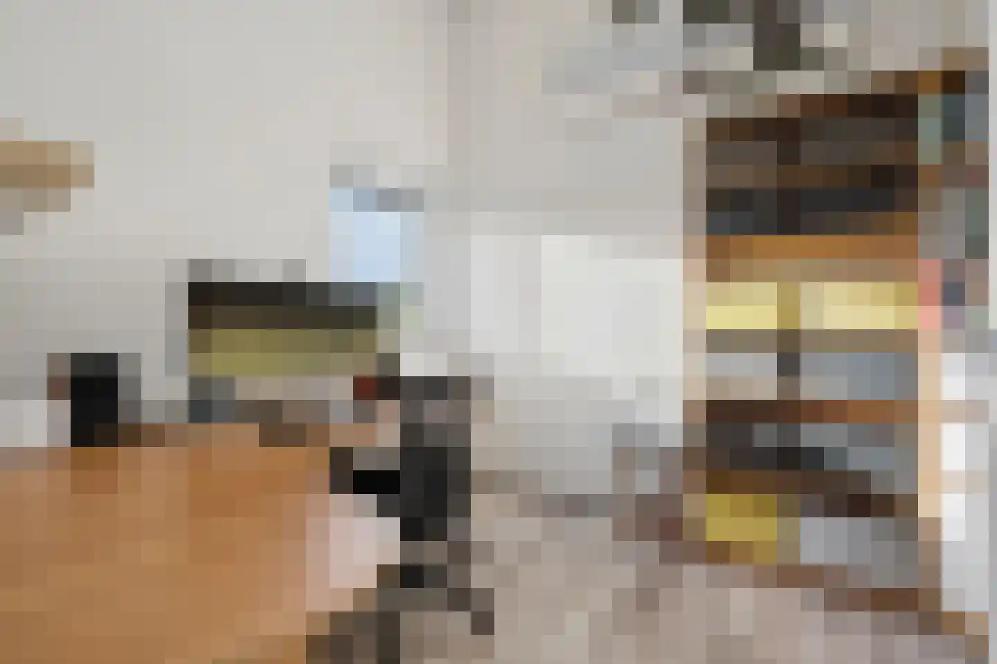 Berkenzwam 5 Veenendaal thumbnail 25