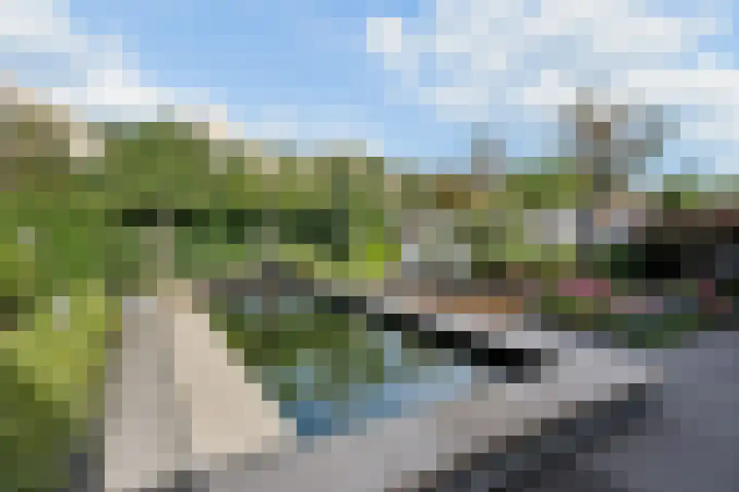 Berkenzwam 5 Veenendaal thumbnail 27
