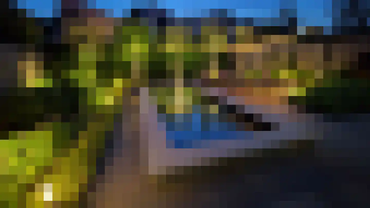 Berkenzwam 5 Veenendaal thumbnail 29