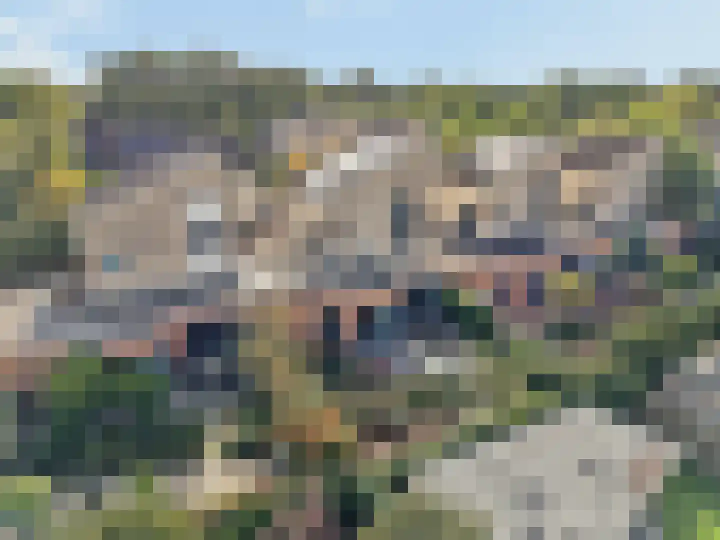 Berkenzwam 5 Veenendaal thumbnail 30