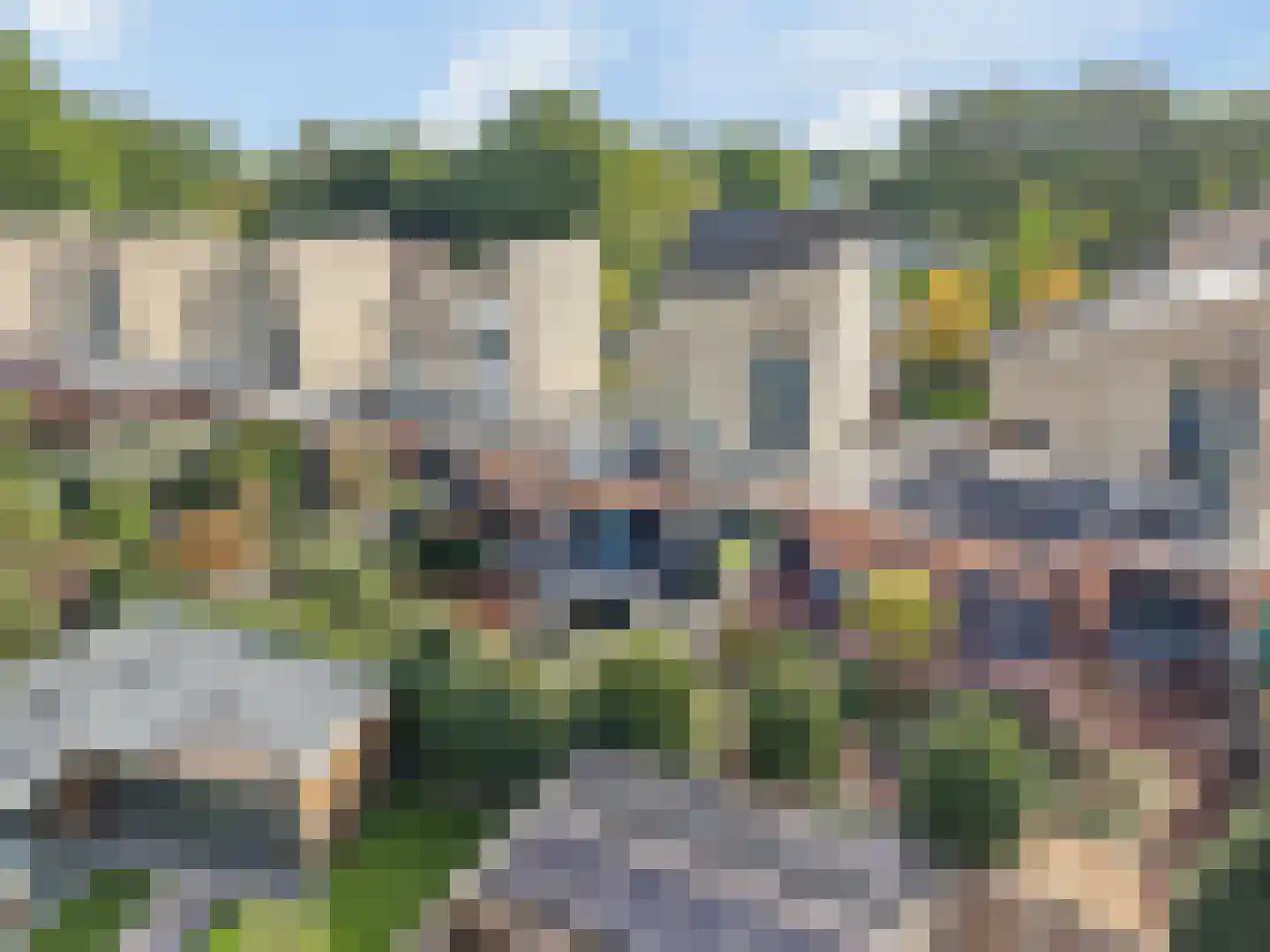 Berkenzwam 5 Veenendaal thumbnail 31