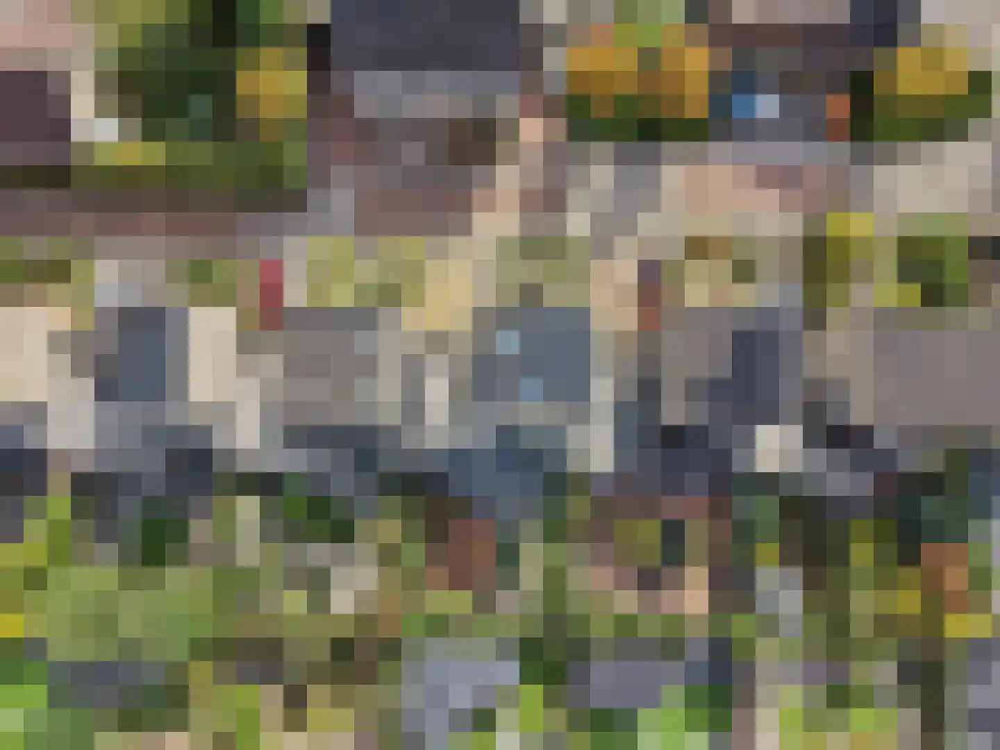 Berkenzwam 5 Veenendaal thumbnail 32