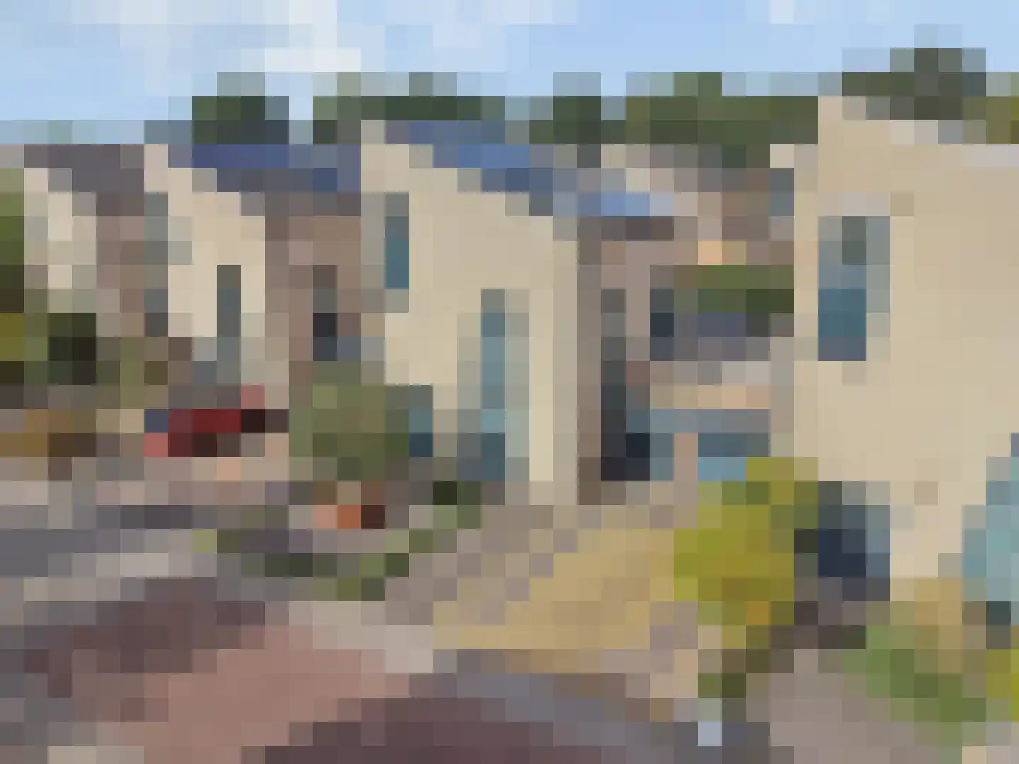 Berkenzwam 5 Veenendaal thumbnail 34