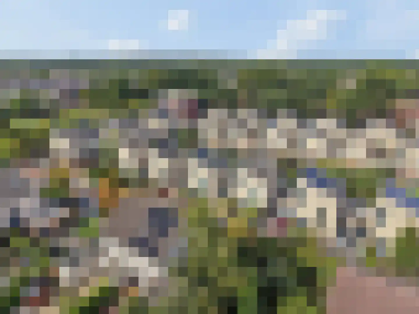 Berkenzwam 5 Veenendaal thumbnail 35