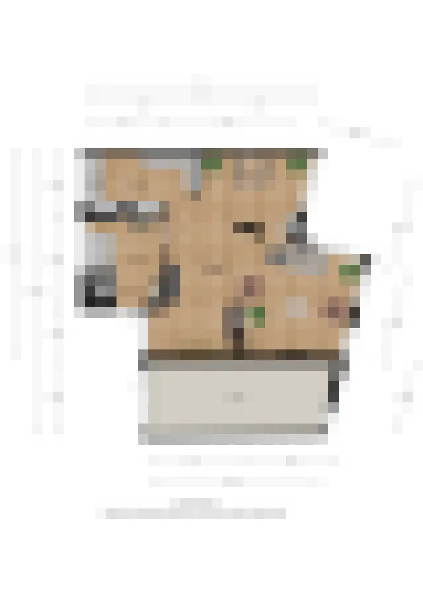 Berkenzwam 5 Veenendaal thumbnail 39