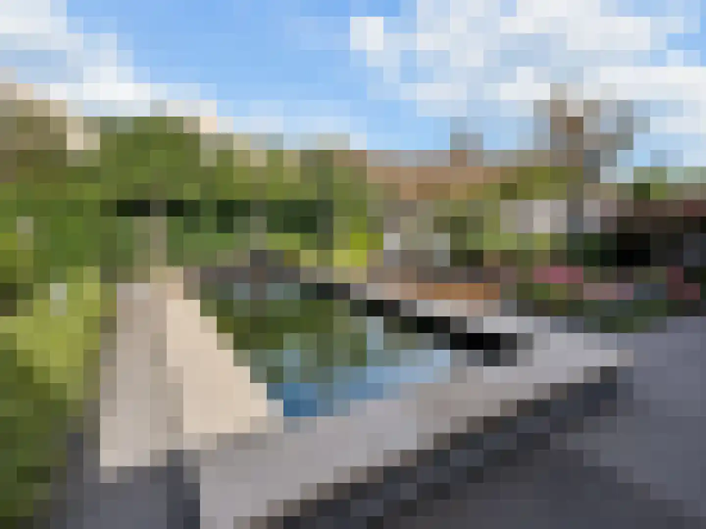 Berkenzwam 5 Veenendaal thumbnail 4