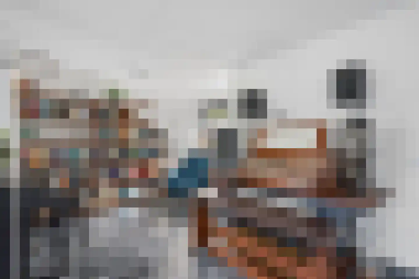 Berkenzwam 5 Veenendaal thumbnail 9