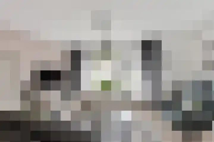 Berkhaag 30 Herwen thumbnail 10