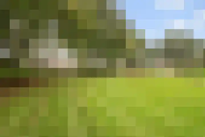 Berkhaag 30 Herwen thumbnail 34