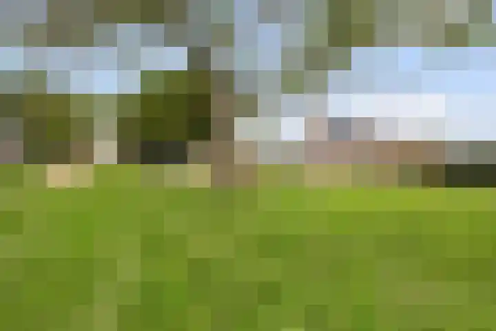 Berkhaag 30 Herwen thumbnail 35