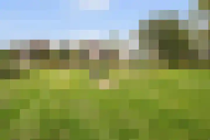 Berkhaag 30 Herwen thumbnail 36