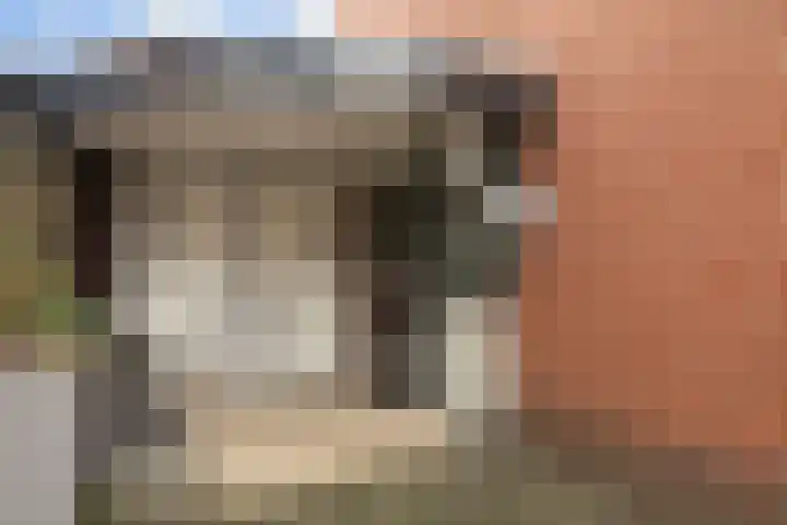 Berkhaag 30 Herwen thumbnail 7