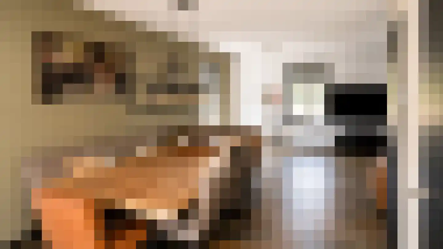 Berkhaag 30 Sprang-Capelle thumbnail 7