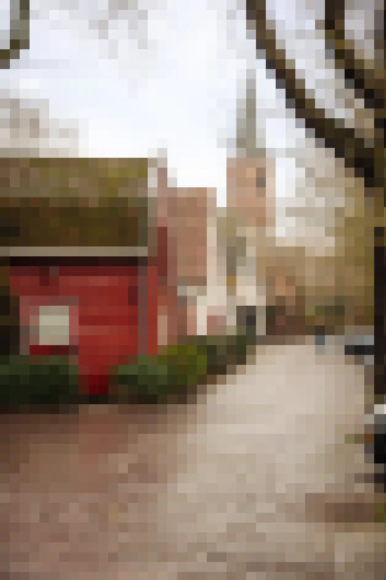 Berkheistraat 17 Wassenaar thumbnail 12