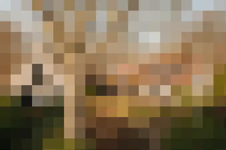 Berkheistraat 21 in Wassenaar