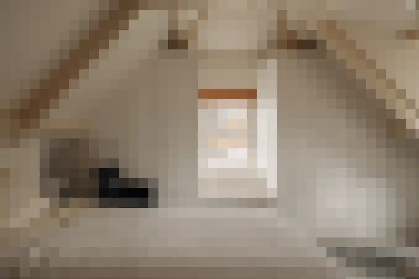 Berkheistraat 21 Wassenaar thumbnail 33