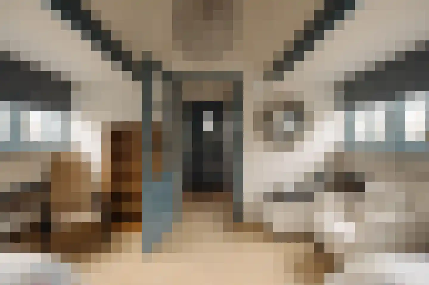 Berkheistraat 21 Wassenaar thumbnail 37