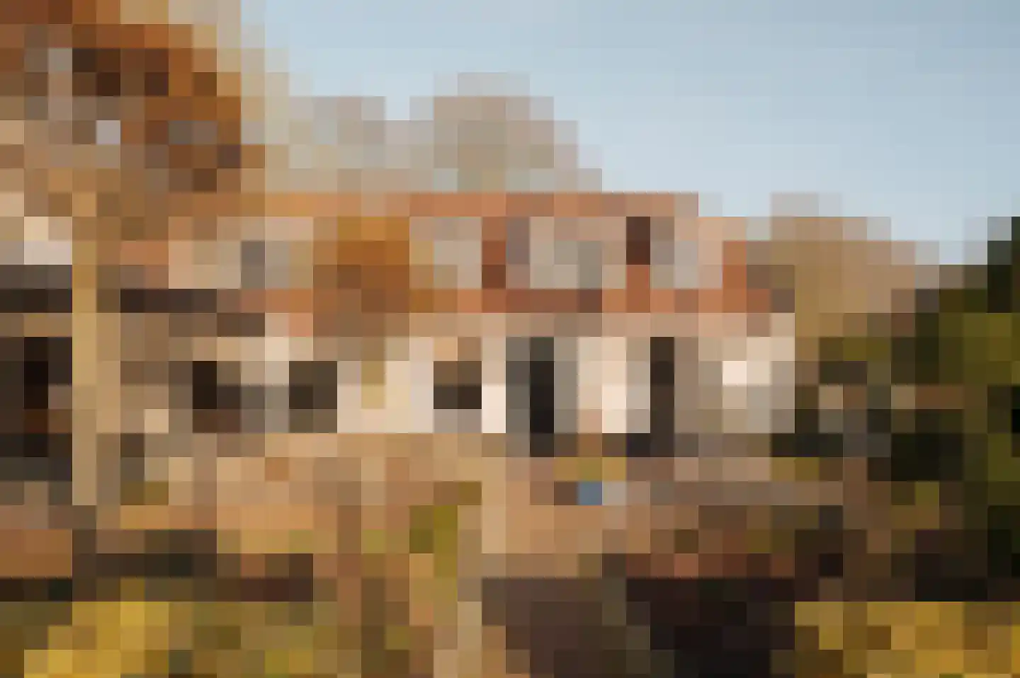 Berkheistraat 21 Wassenaar thumbnail 4