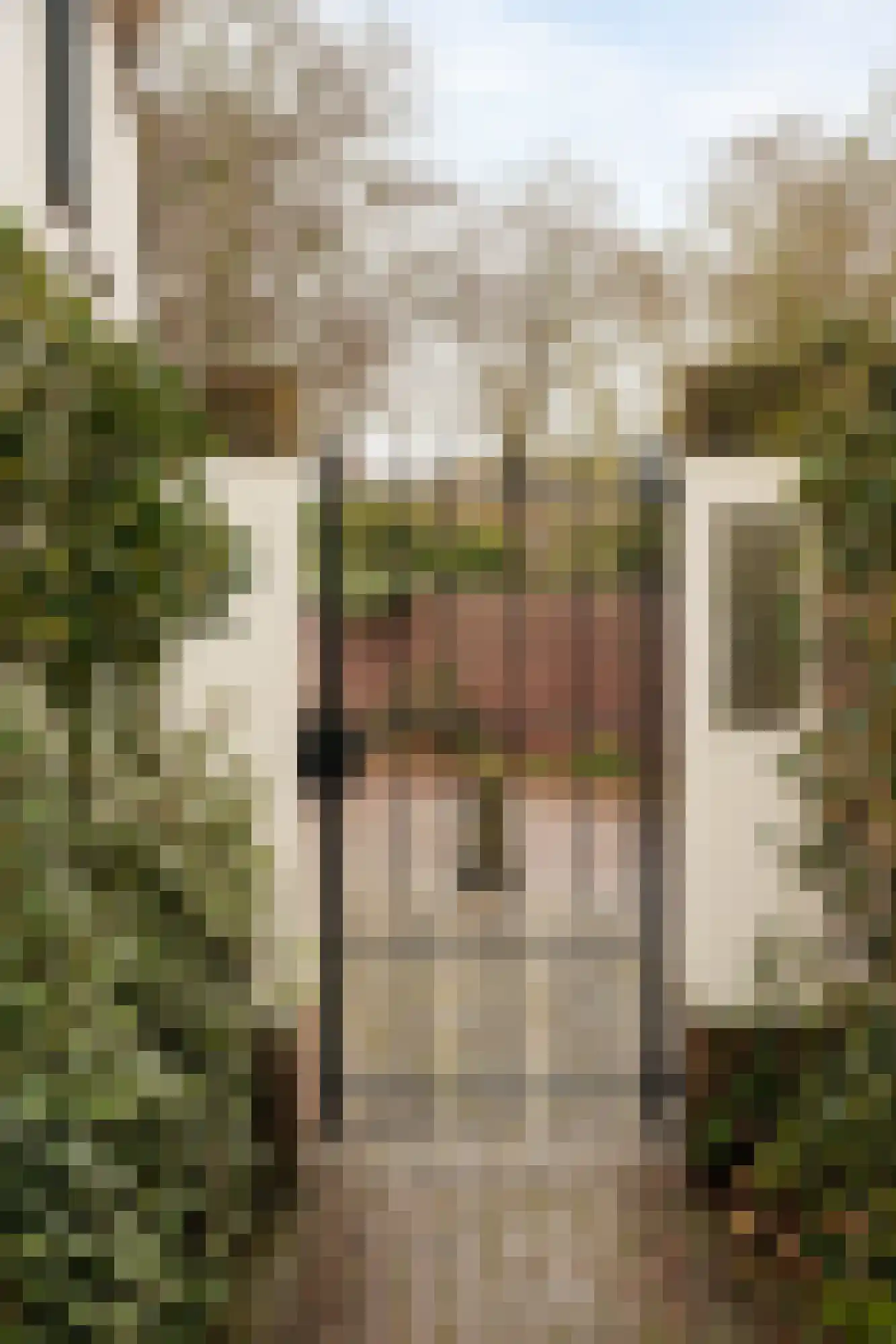 Berkheistraat 21 Wassenaar thumbnail 46