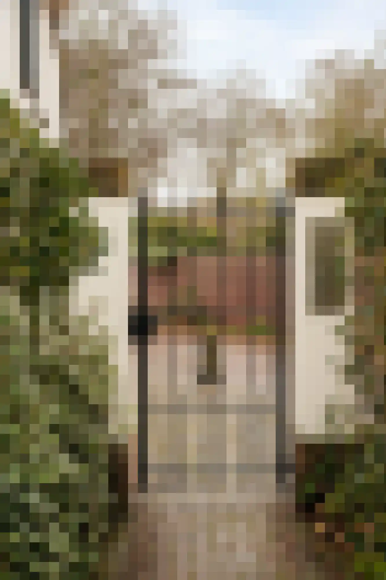 Berkheistraat 21 Wassenaar thumbnail 53