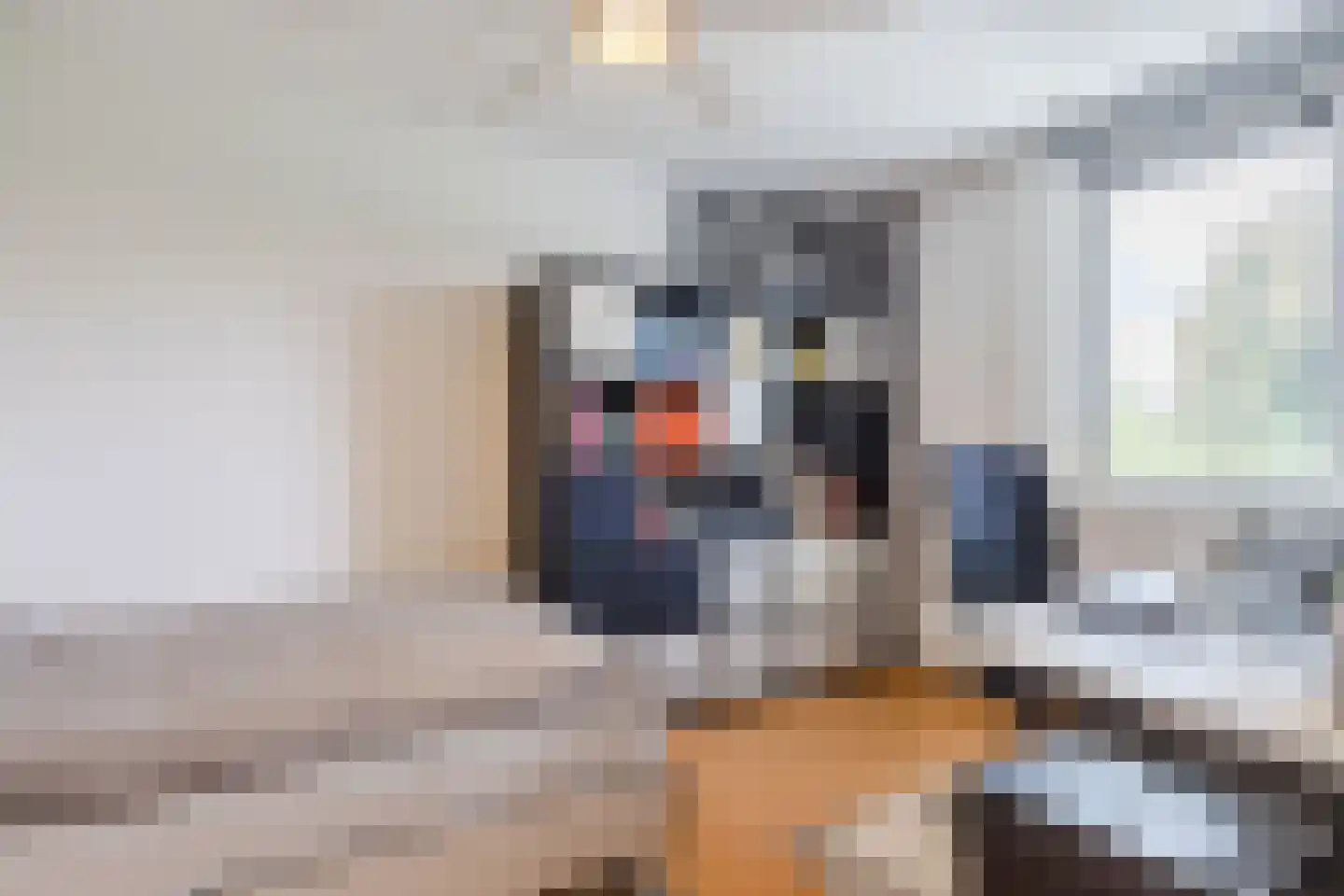 Berkhof 4 Berkel-Enschot thumbnail 27