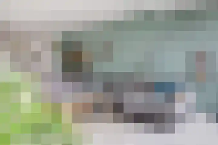 Berkhof 59 Gendt thumbnail 10