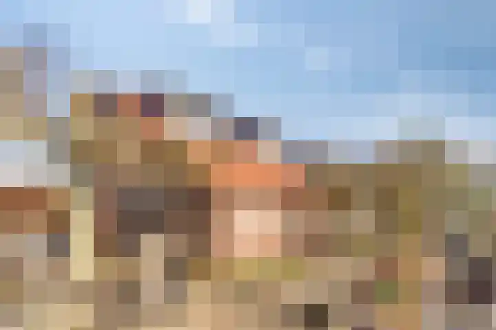 Berkhof 59 Gendt thumbnail 12