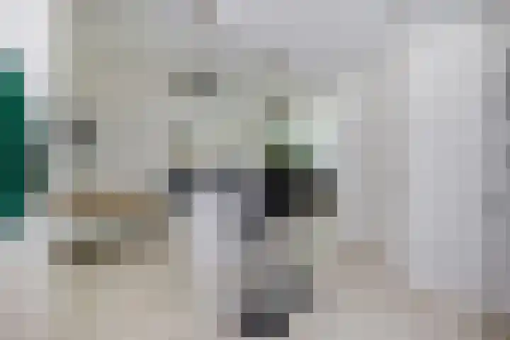Berkhof 59 Gendt thumbnail 13