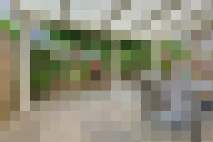 Berkhof 59 Gendt thumbnail 17