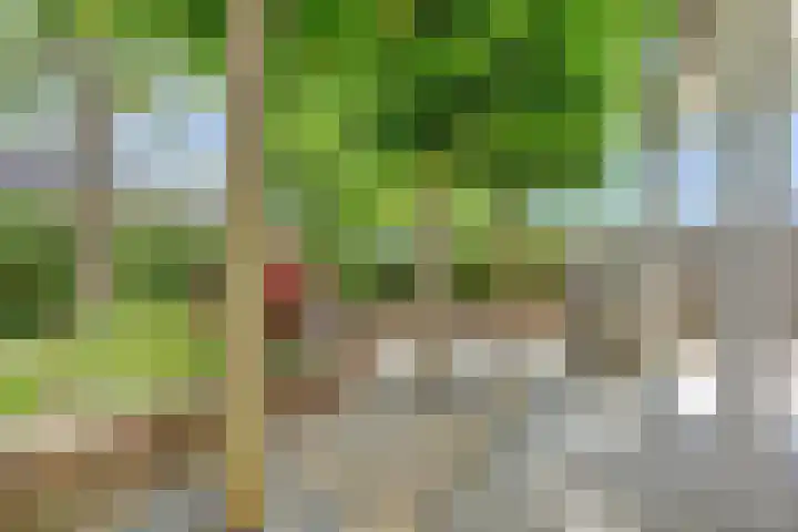 Berkhof 59 Gendt thumbnail 19