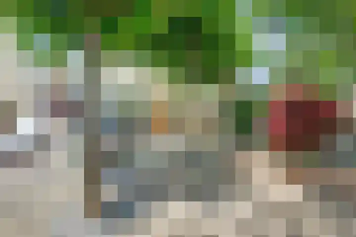 Berkhof 59 Gendt thumbnail 20
