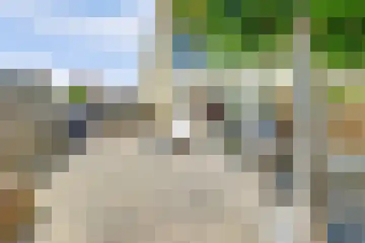 Berkhof 59 Gendt thumbnail 21