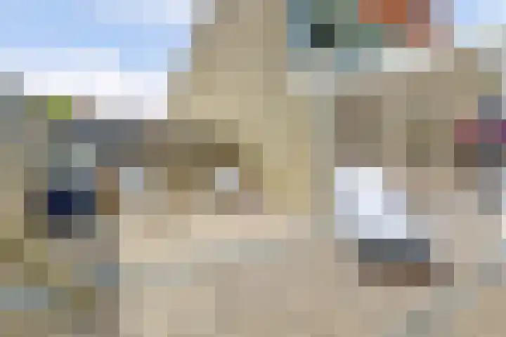 Berkhof 59 Gendt thumbnail 22