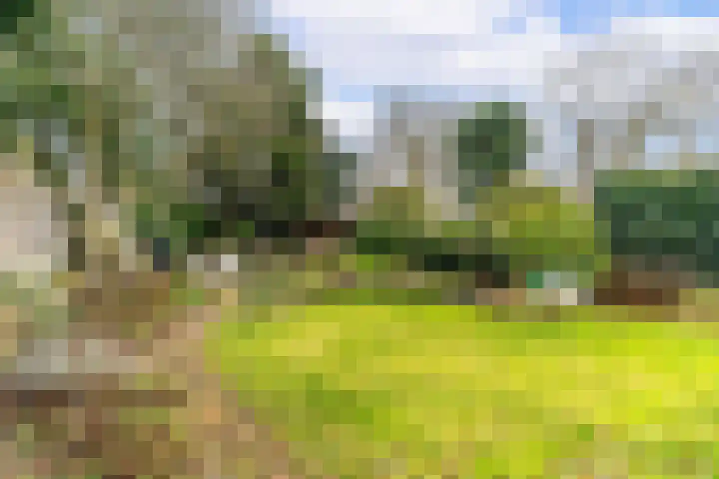 Berkhof 59 Gendt thumbnail 31