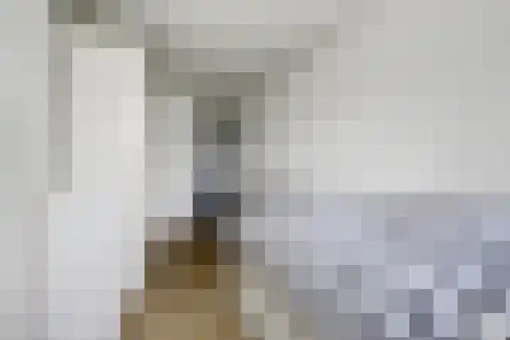 Berkhof 59 Gendt thumbnail 33