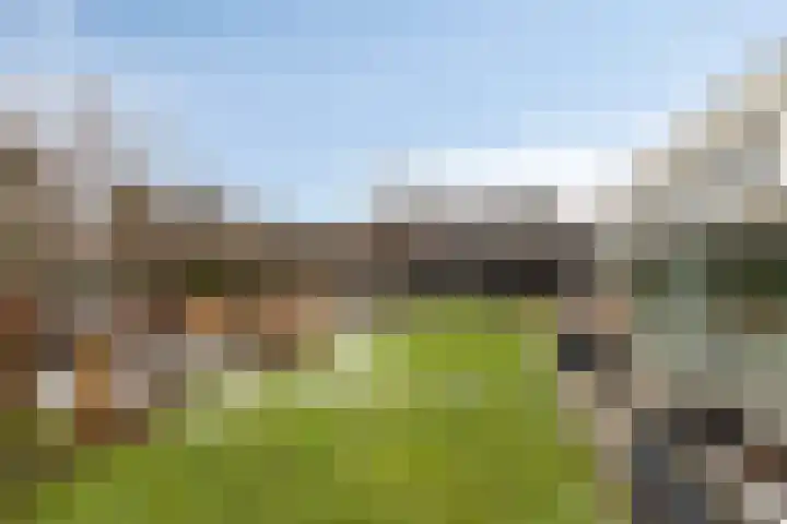 Berkhof 59 Gendt thumbnail 42