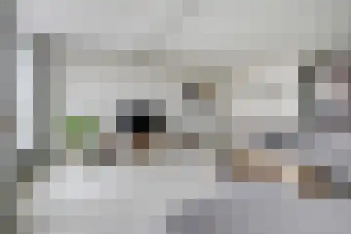 Berkhof 59 Gendt thumbnail 8