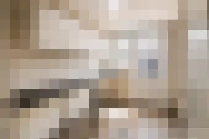 Berkhofweg 33 Lunteren thumbnail 9
