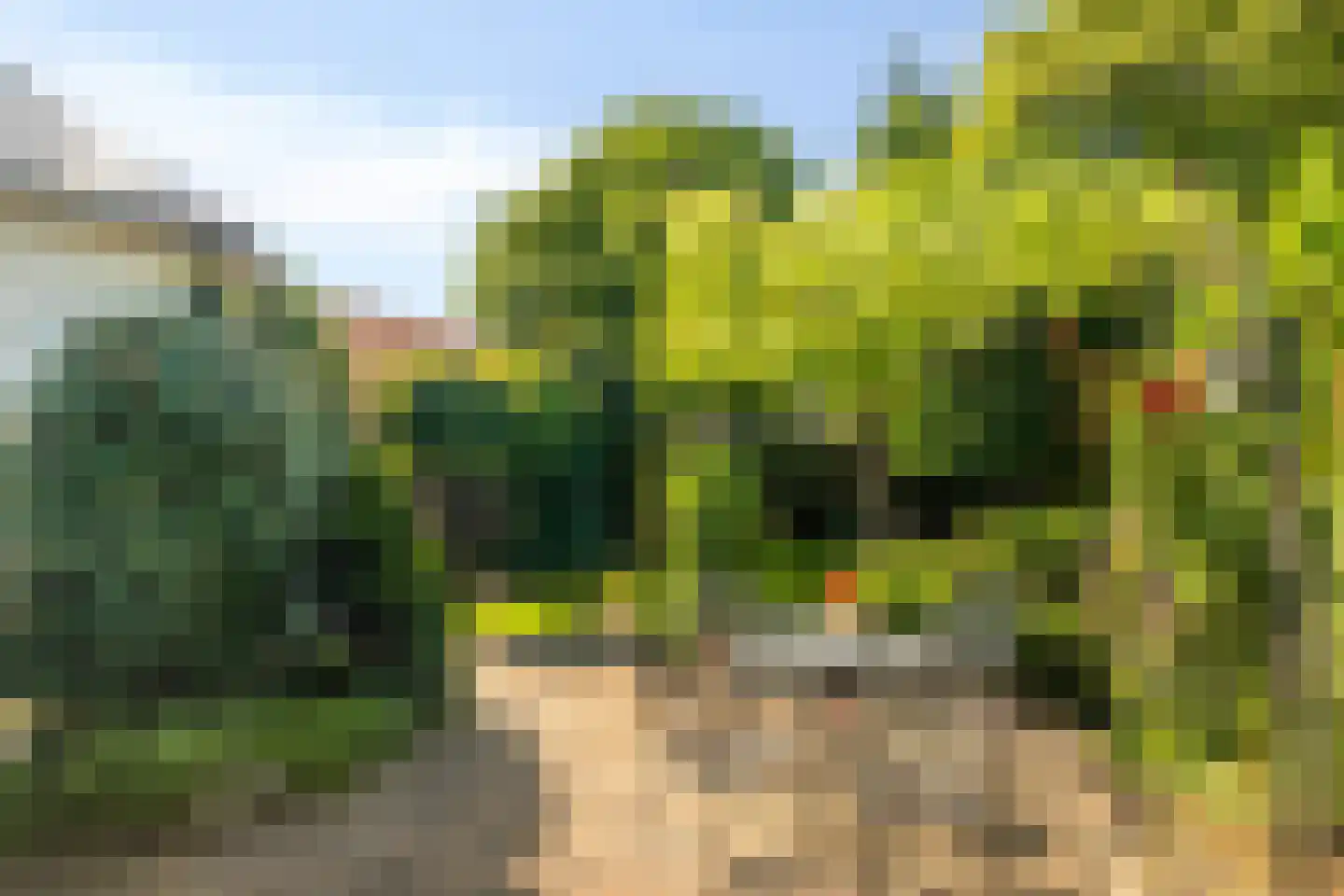 Berkhofweg 7 Lunteren thumbnail 4