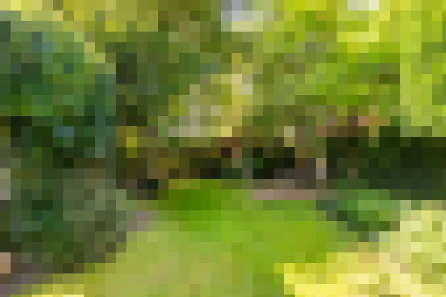 Berkhofweg 7 Lunteren thumbnail 45