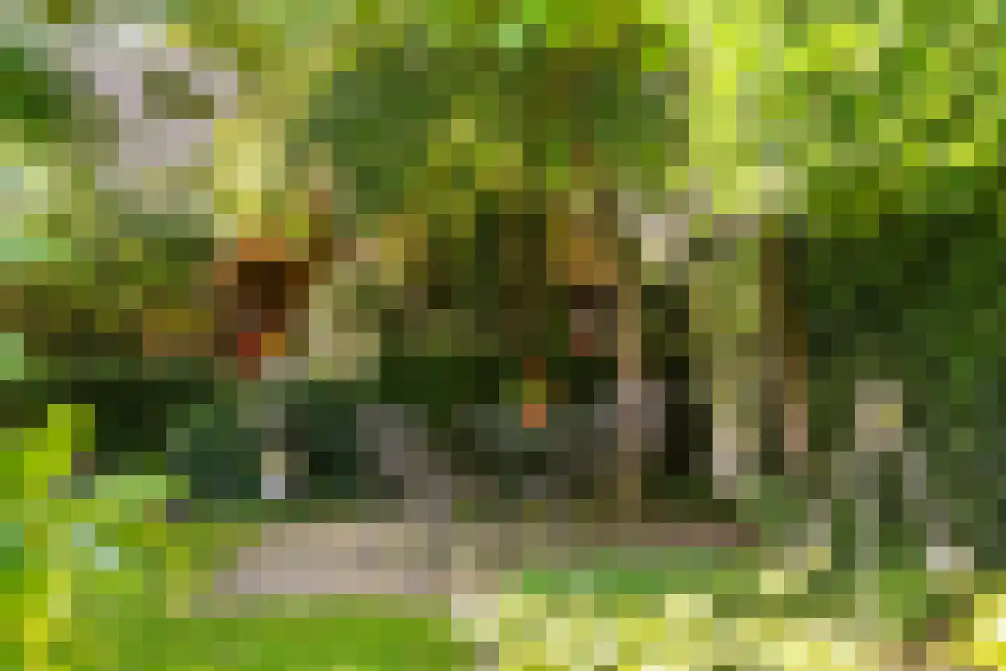 Berkhofweg 7 Lunteren thumbnail 46