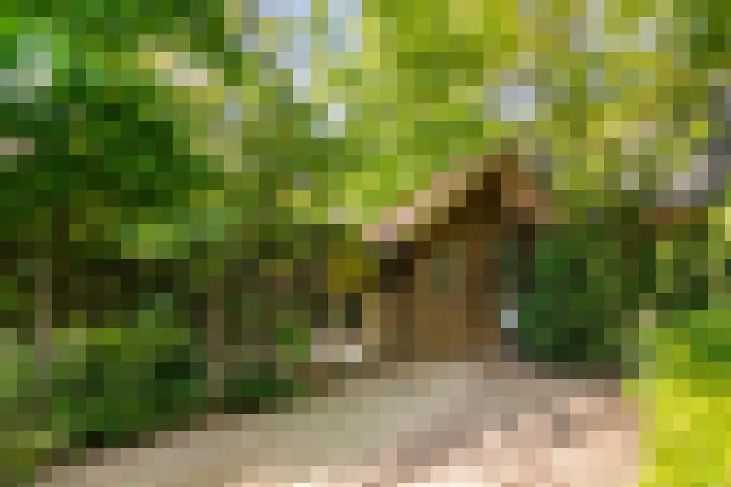 Berkhofweg 7 Lunteren thumbnail 47