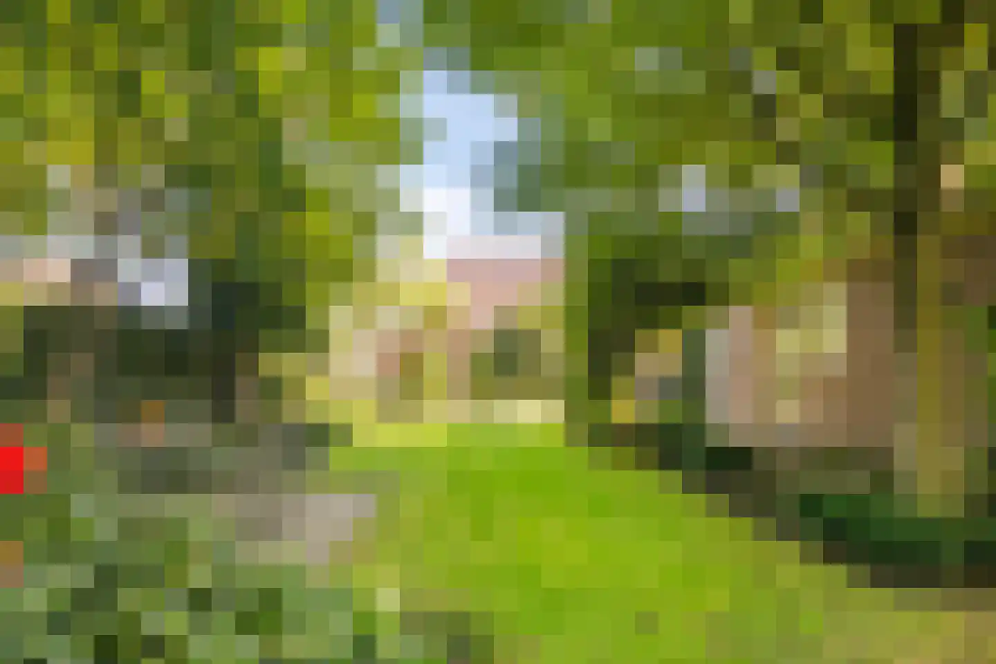 Berkhofweg 7 Lunteren thumbnail 48